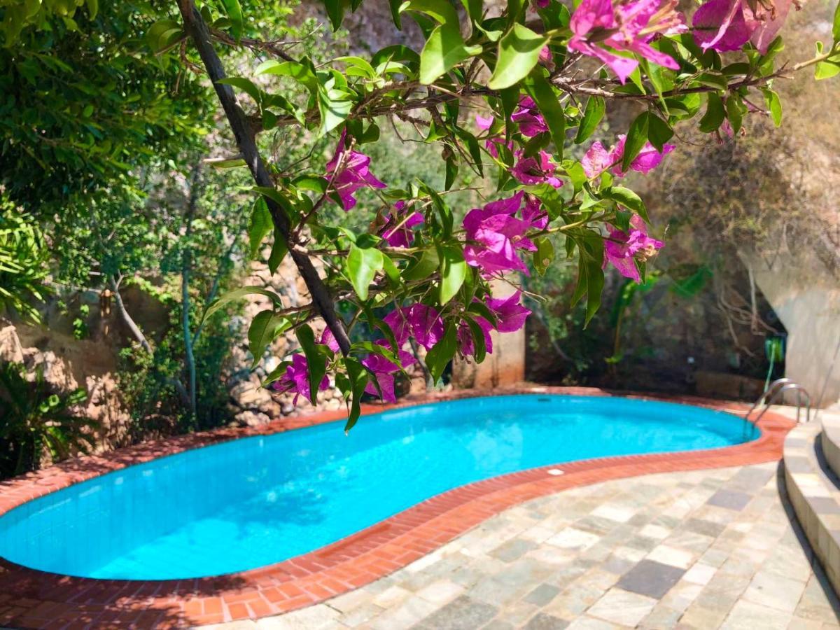 Zen Villa *